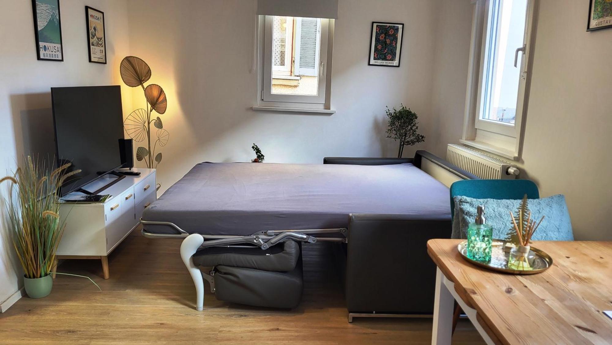 Apartment Weberstrasse Tübingen Екстериор снимка